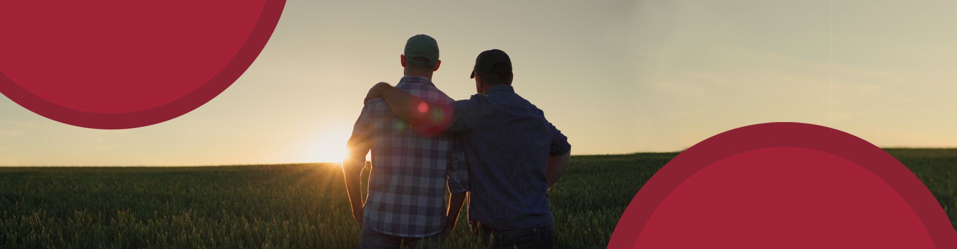 Two men standing in a field looking towards the sunset.
